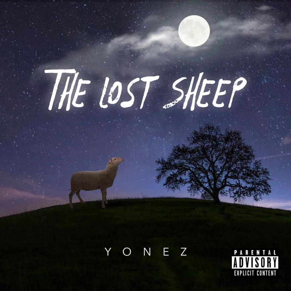 The Lost Sheep cover